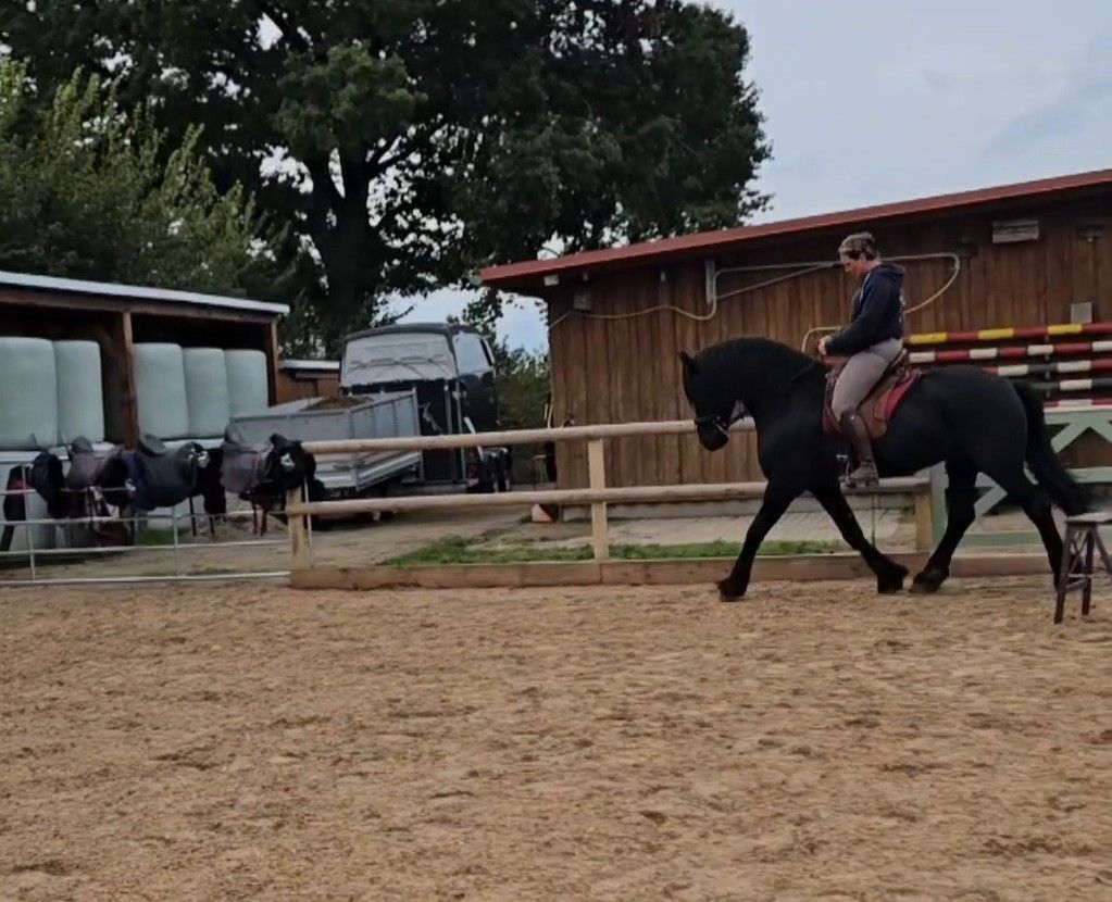 Termin für Sattelprobe Termin für Sattelprobe