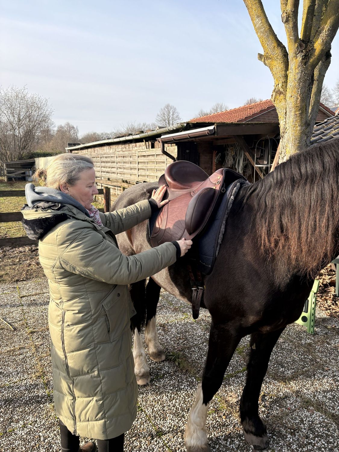 Termin für Sattelkontrolle