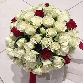 Marié Roses Blanche Pois Rouge