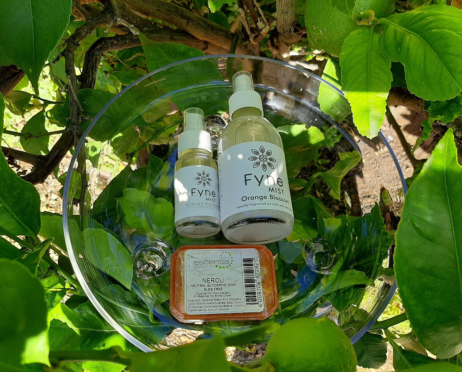SALE: The FIRM FAVOURITE AMONG OUR CLIENTS: Orange Blossom Pre-toilet Prevention Sprays and Essential Soap Bar Gift Pack