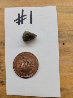 Crystal Small Moldavite #1