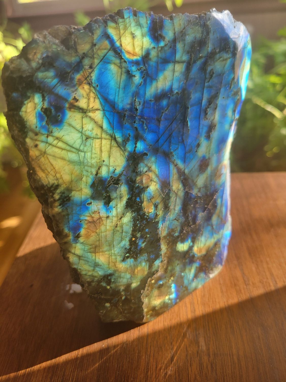Crystal STUNNING Standing Labradorite