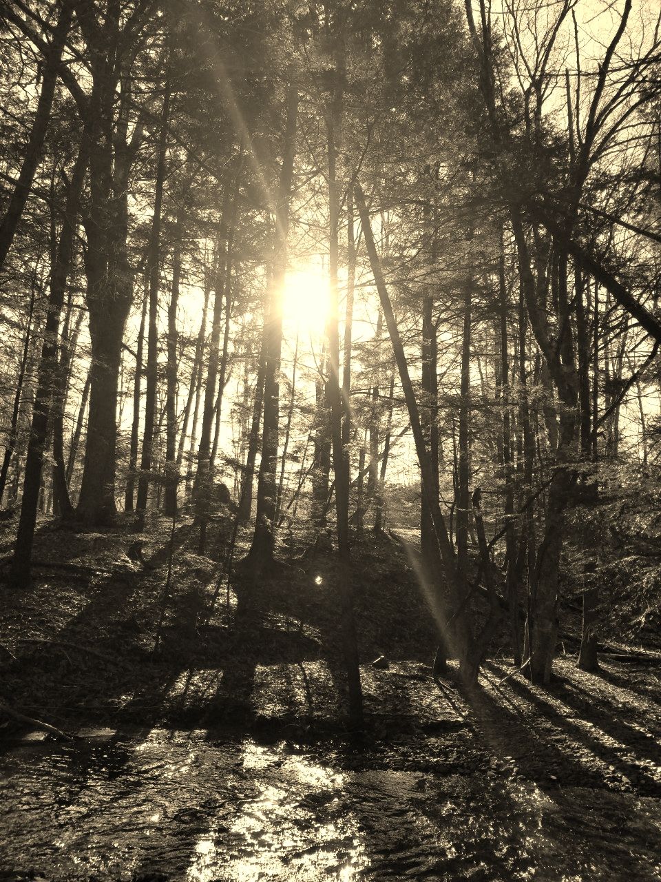 Messages Via EMAIL- The Light &amp; the Dark/ Shadow Messages