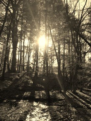 Messages Via EMAIL- The Light &amp; the Dark/ Shadow Messages