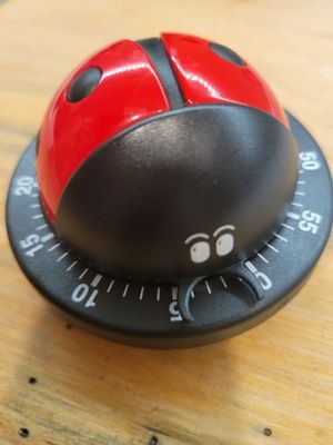 Ladybug Timer-approx 2 1/2 inches wide