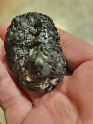 Crystal Rough Black Tourmaline (rough/smooth) 3.2 ozs