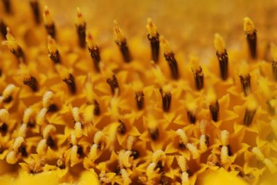 2026 The GOLDEN - Are you READY for this AWAKENING? Tangible Items Shipped to you &amp; more.