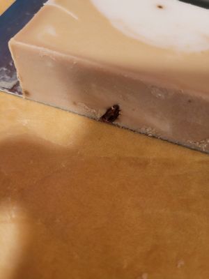 Soap-Judy's Chocolate &amp; Cream Bar-3.3 ozs (93gms)