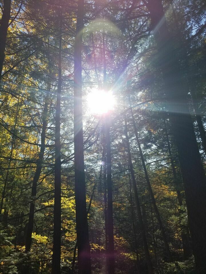 Request Angelic Guidance -Via Email.