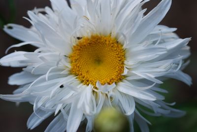 Soul Writing - An In-depth Look into all that you are .