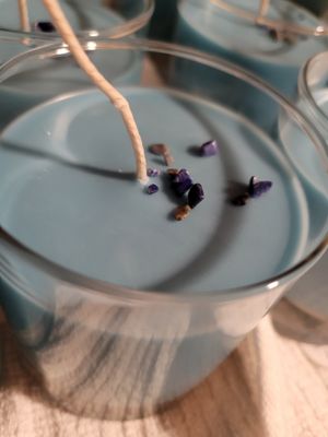 Judy's Soy Candle -Shit Storm Remedy-Blueberry (regular Size)