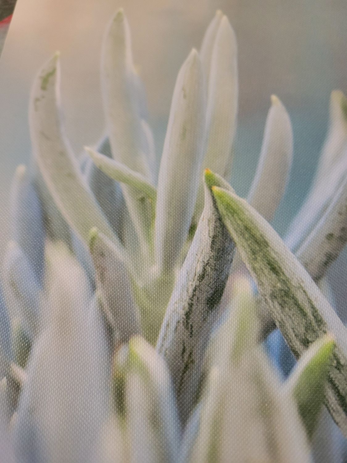 Journal/Notebook-Lined-Thin -Textured cover- 8.5 x6