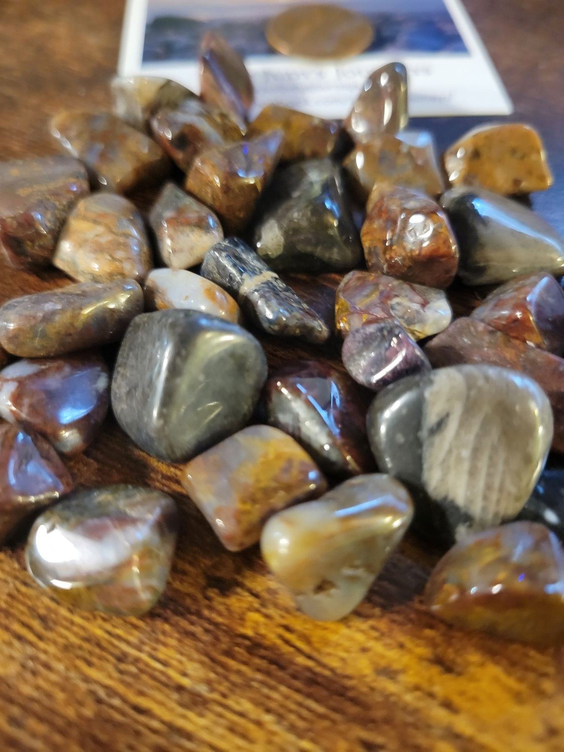 Crystal Tumbled Vatican Stone (aka -Ammonite Fossil) (35 Pieces!!) Value $150+