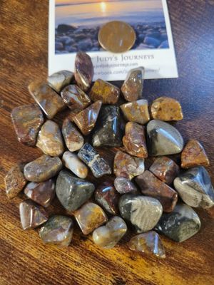 Crystal Tumbled Vatican Stone (aka -Ammonite Fossil) (35 Pieces!!) Value $150+