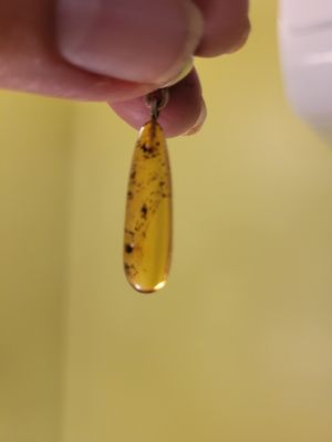 Pendant Baltic Amber -Lithuania-inclusions