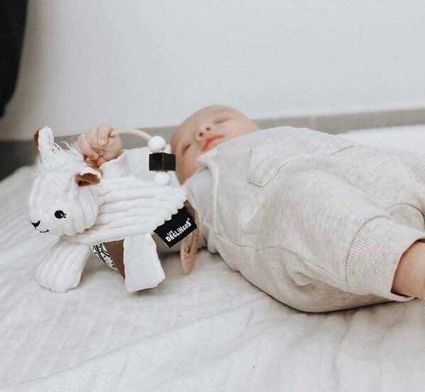 Les Déglingos activity toy Muchachos lthe llama