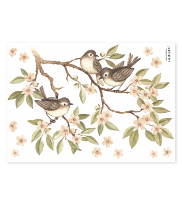 LILIPINSO sienų lipdukai - OH DEER - Wall decals / Flowering branch and birds
