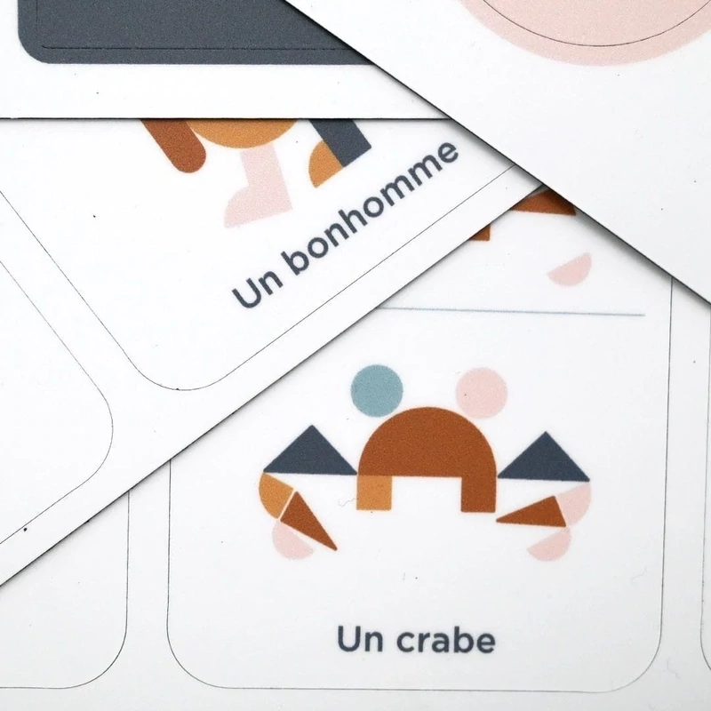 FERFLEX magnet set Géoformes magnétiques