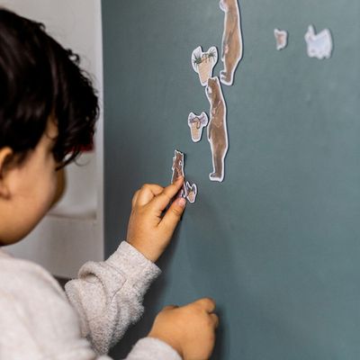 FERFLEX magnet set JEU DE MAGNETS - L&#39;HISTOIRE DE BOUCLE D&#39;OR