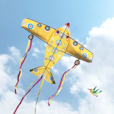 DJECO - Games of skill - Kite - Maxi Plane