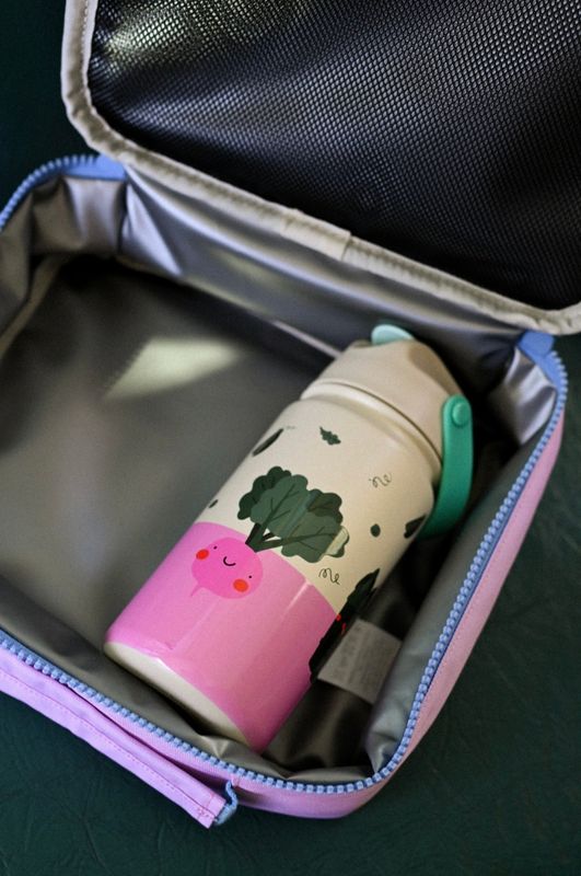 The Cotton Cloud - Insulated Stainless Steel Bottle | Veggie Pals