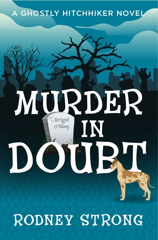 Murder In Doubt: A Hitchhiker Novel 3