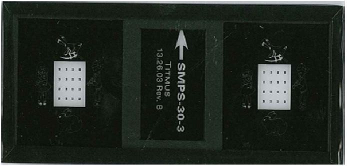 Titmus SMPS-30-3 Slide, Michigan 20/30 Acuity