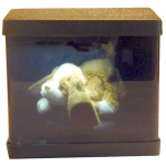 Animated Low Profile Centering Box