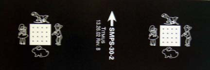 Titmus SMPS-30-2 Slide, Michigan 20/30 Acuity