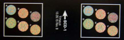Titmus SCD-1 Slide, Color Ishihara