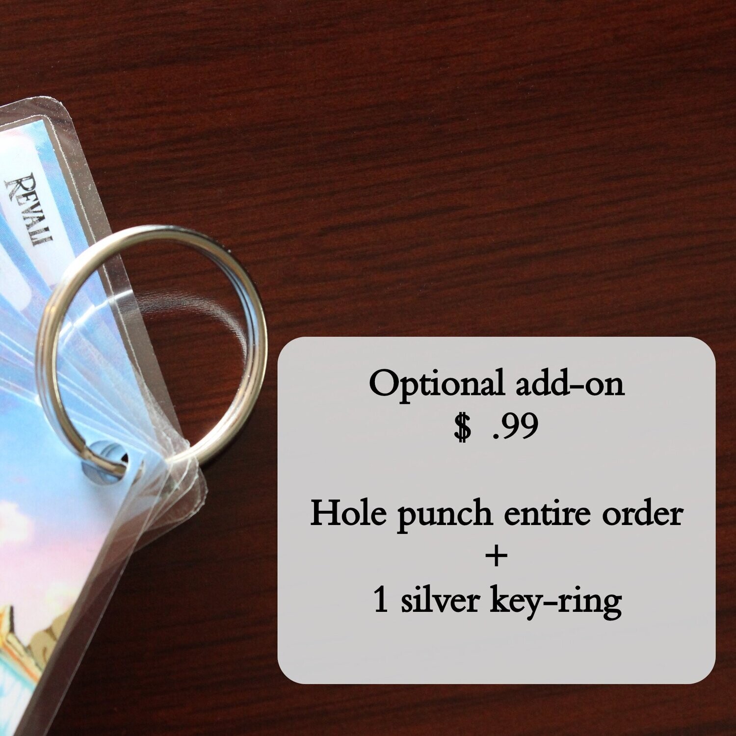 Key-Ring With Hole Punch