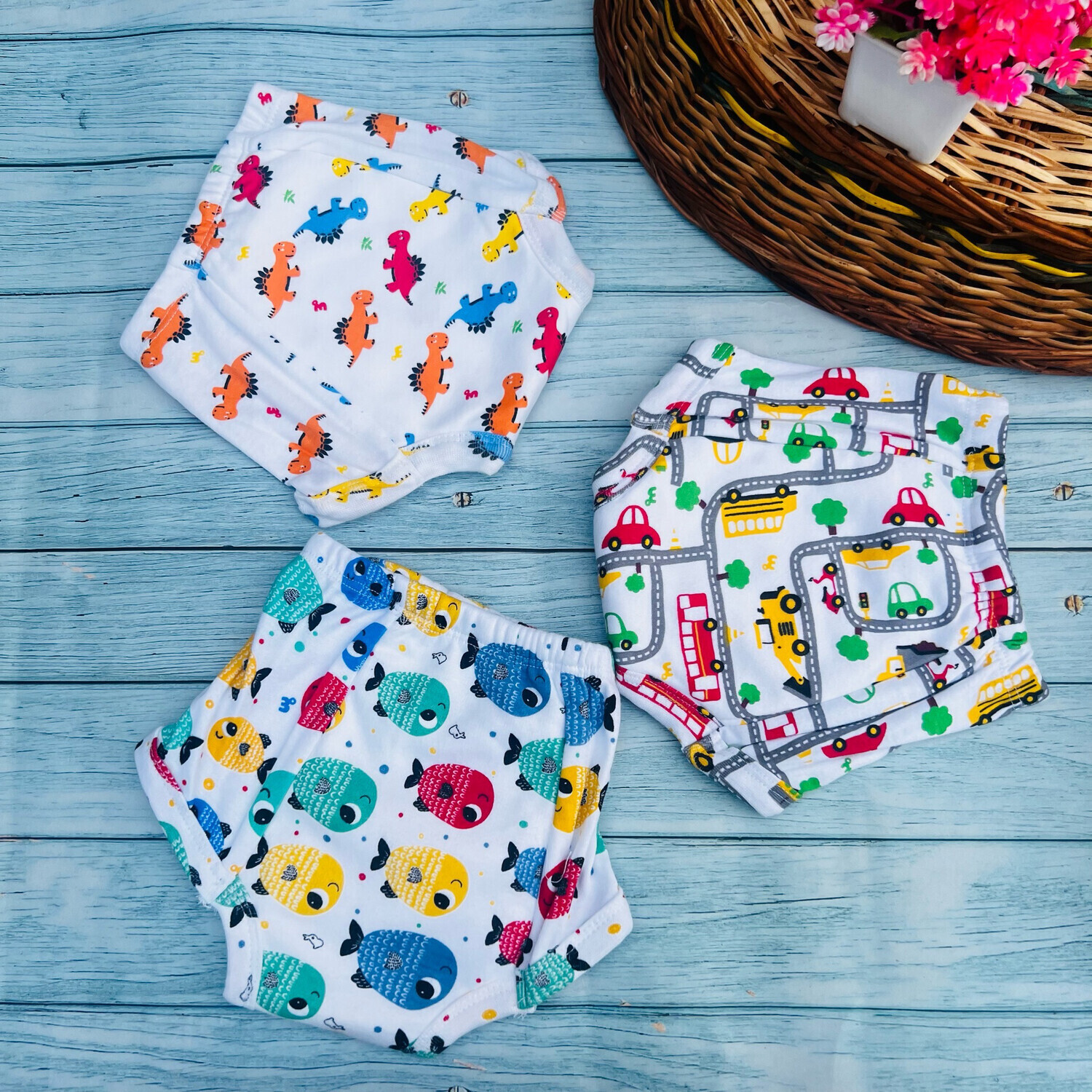 Assorted Padded Undies (036 Months)