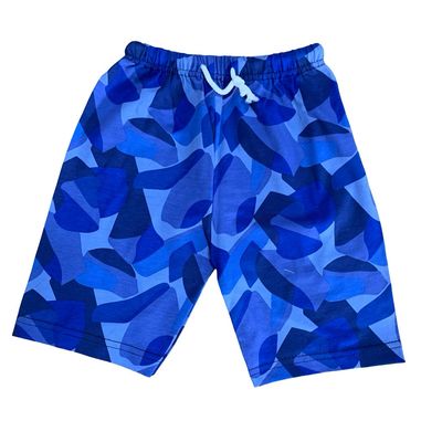 Blue Shorts (2-3 Years)