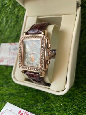 Us Polo assn Brown