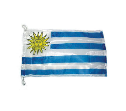 BANDERA URUGUAYA 20 X 30
