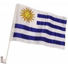 BANDERA URUGUAYA 30 X 45
