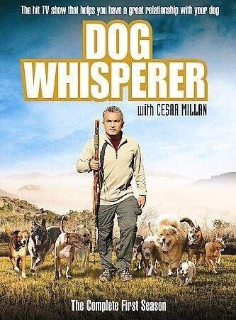 Uni Dog Whisperer with Cesar Millan First Season DVD