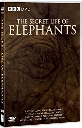 The Secret Life of Elephants