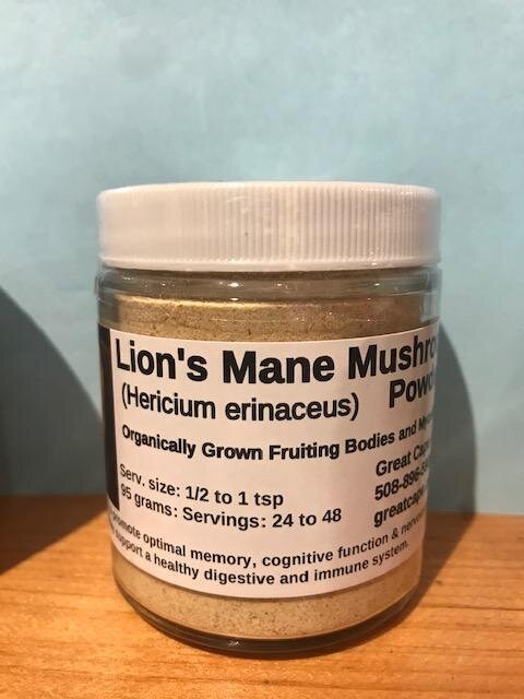 Lion's Mane Mushroom Powder
