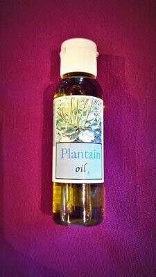 Plantain Oil