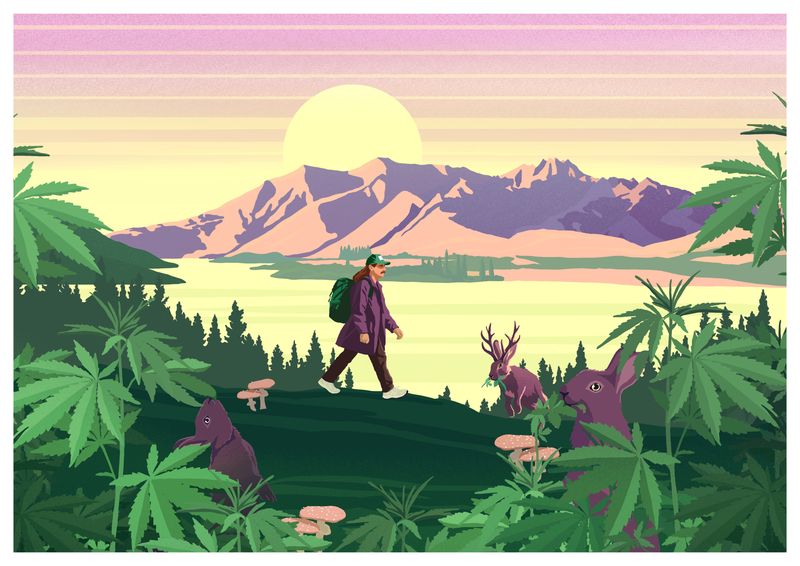 Sticky Forest