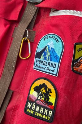 Wanaka Tree iron-on patch