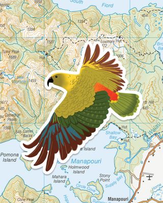 Kea Sticker