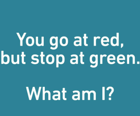 Quizzes on different topics
