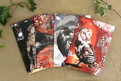 Four Illustrated Wild Bird Greetings Cards