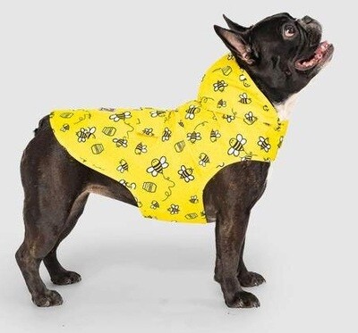 Can Pooch Pancho Bee 12
