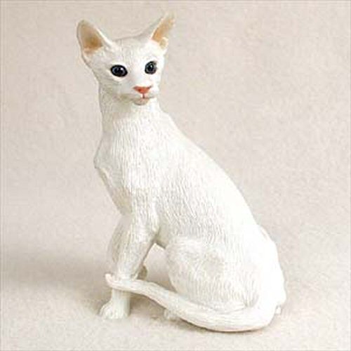 white oriental shorthair cat