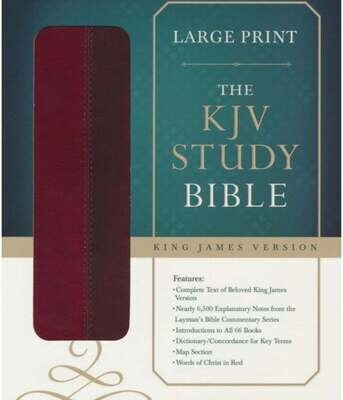 KJV Study Bible *LARGE PRINT*