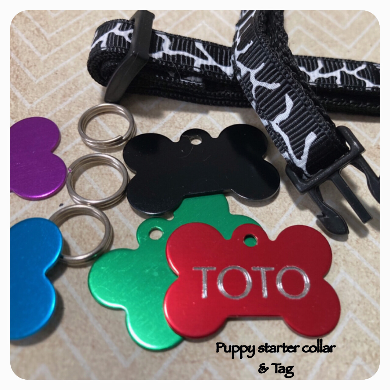 Animal Print Tiny Puppy Dog Design Starter Collar/Tag Combo 
