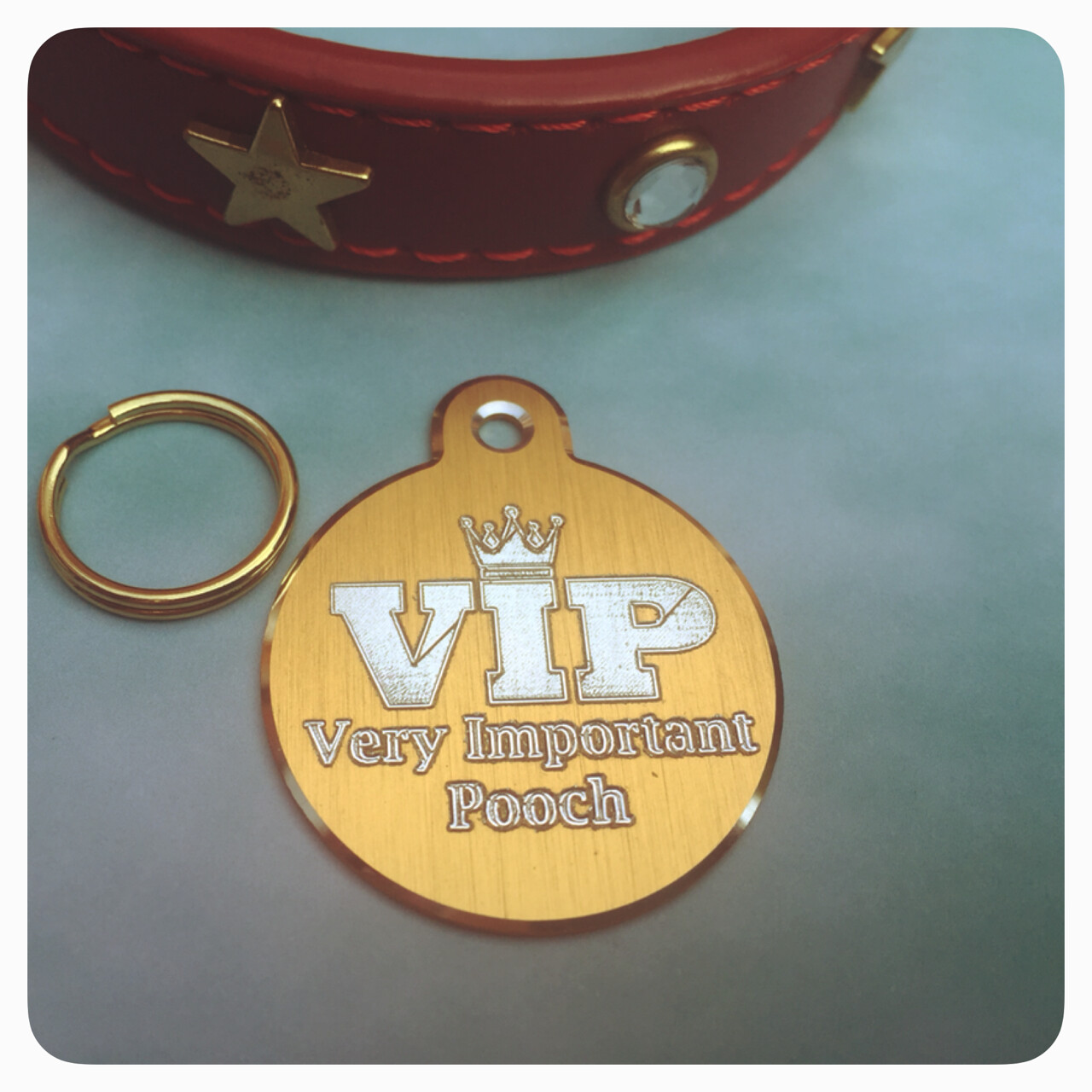 VIP Design - Premier Circle Shape